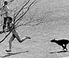 streaker