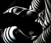 Bodyscape