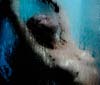 Shower Scene